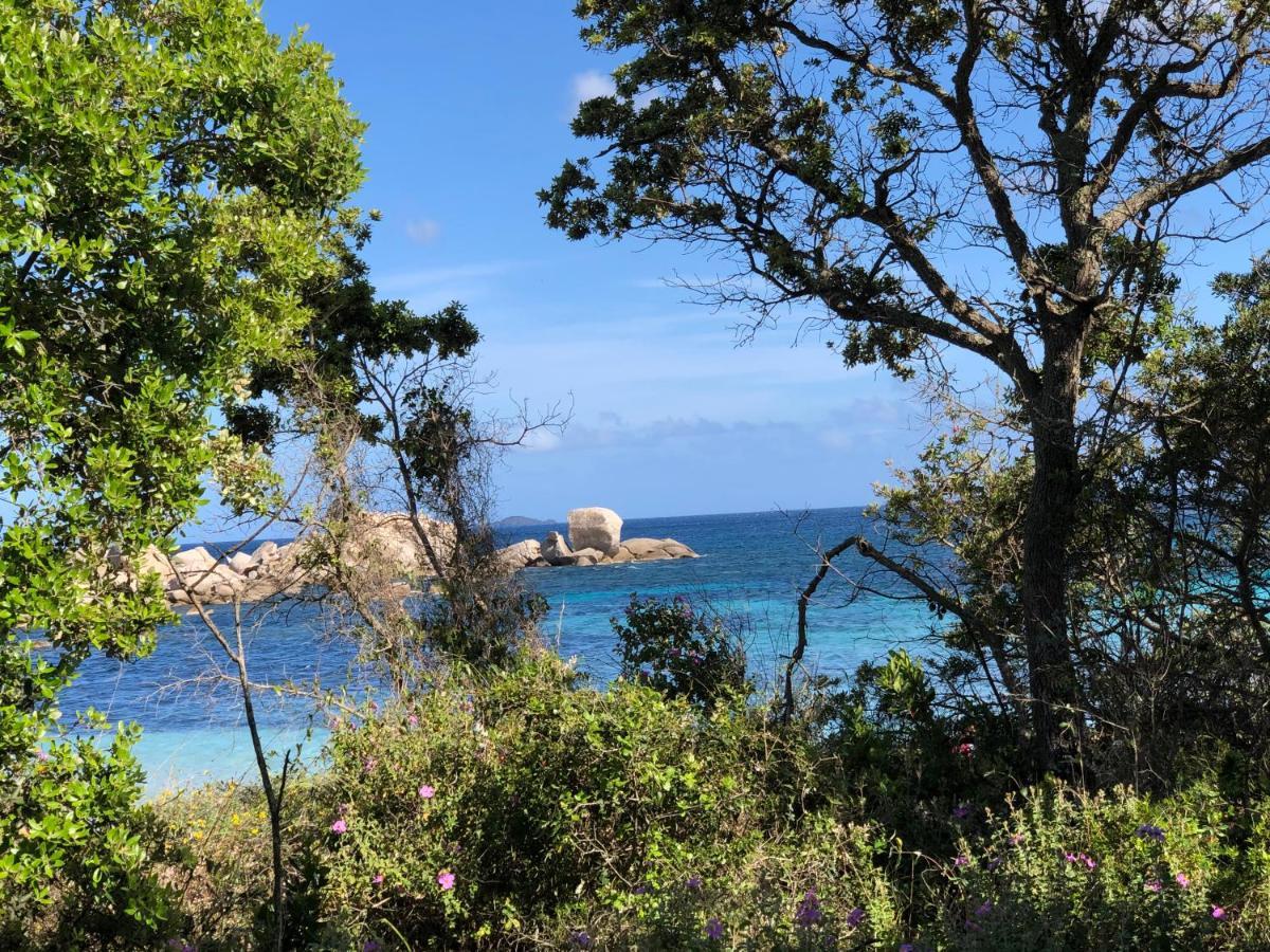 Palombaggia Villa Porto-Vecchio  Bagian luar foto