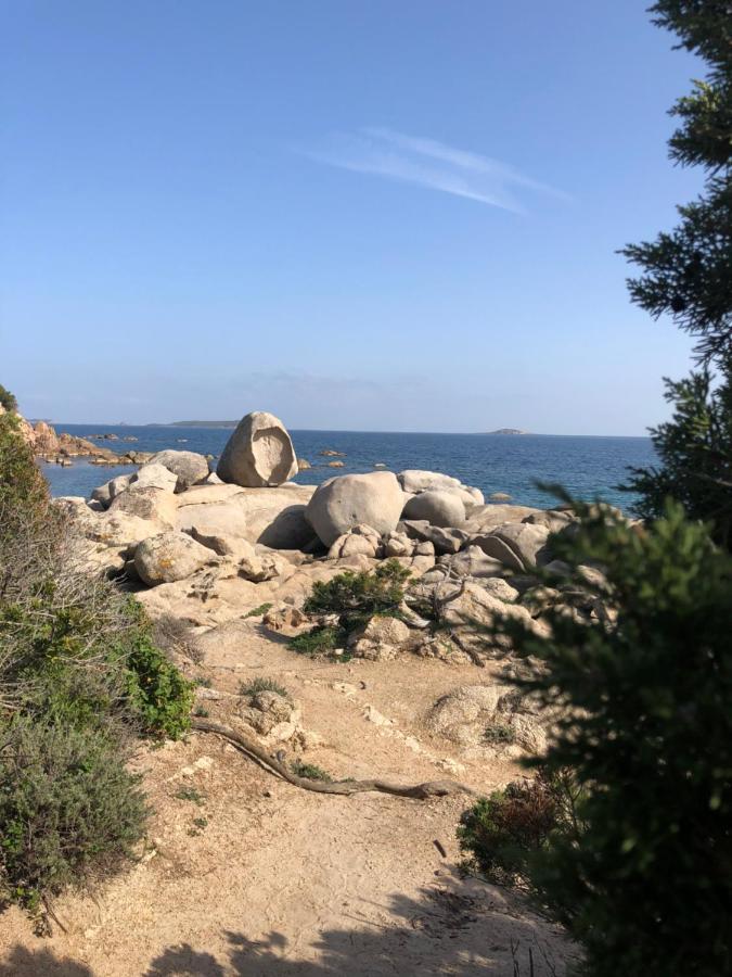 Palombaggia Villa Porto-Vecchio  Bagian luar foto
