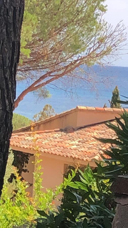 Palombaggia Villa Porto-Vecchio  Bagian luar foto