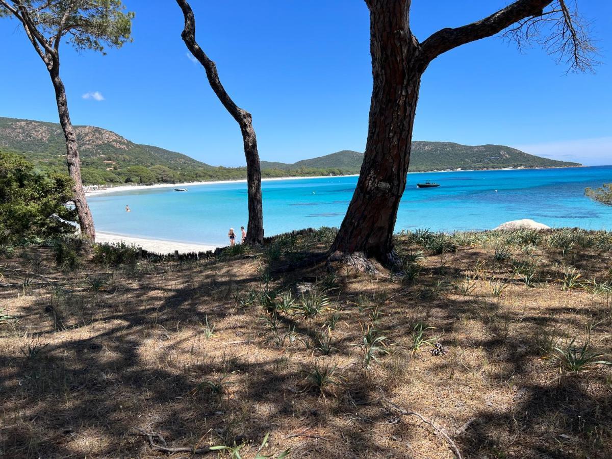 Palombaggia Villa Porto-Vecchio  Bagian luar foto